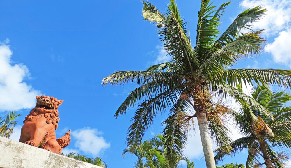 遠くまでわざわざ？さかしげ税務顧問が「全島対応」を掲げる理由とは